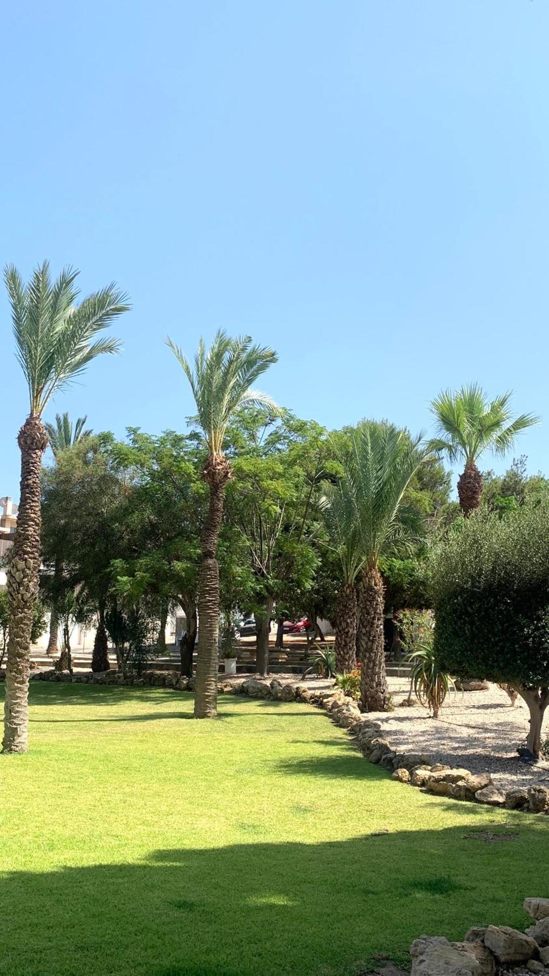 Lagovista45 Torrevieja Exterior foto